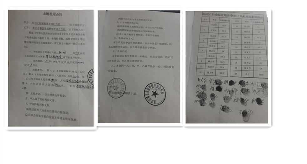 重庆市南川区东城街道黄淦村6组