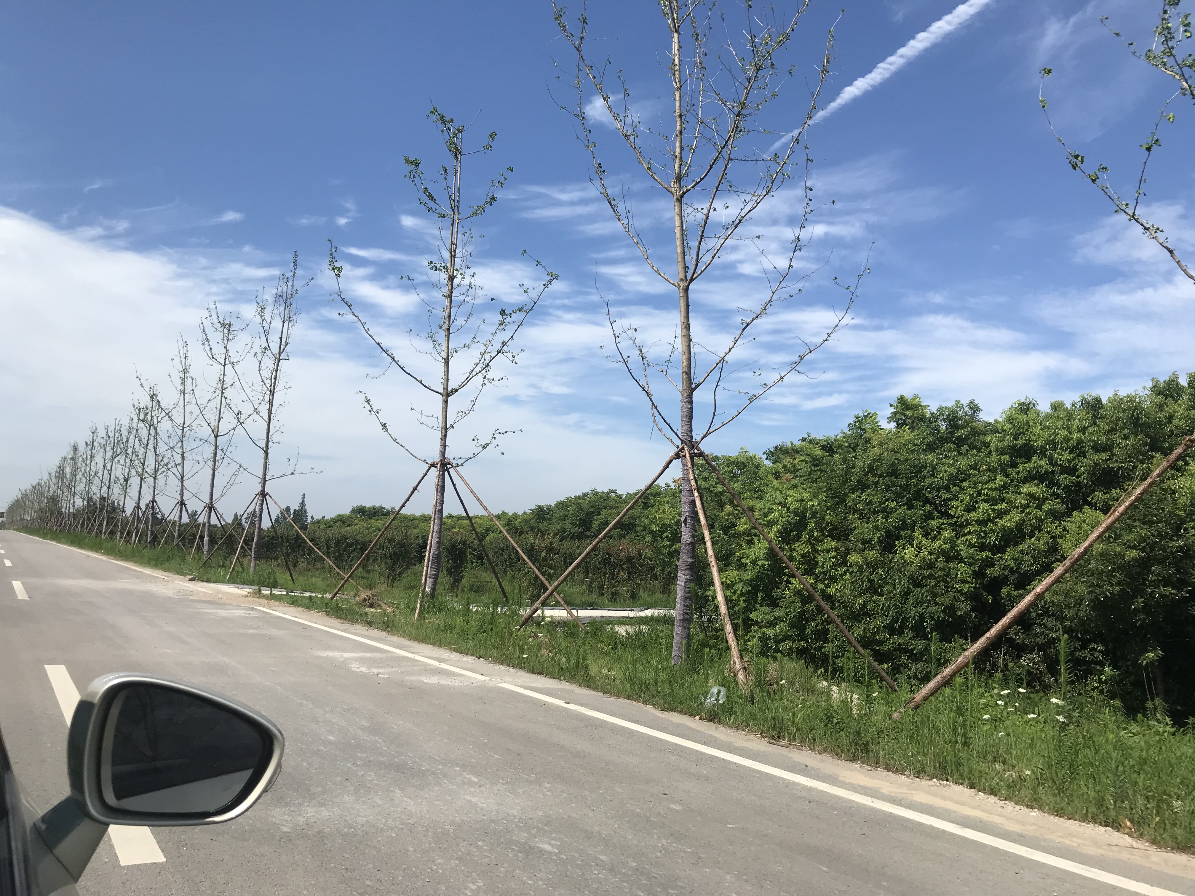 八岭山镇新场村闲置农房（农汇民宿）-宣传图片