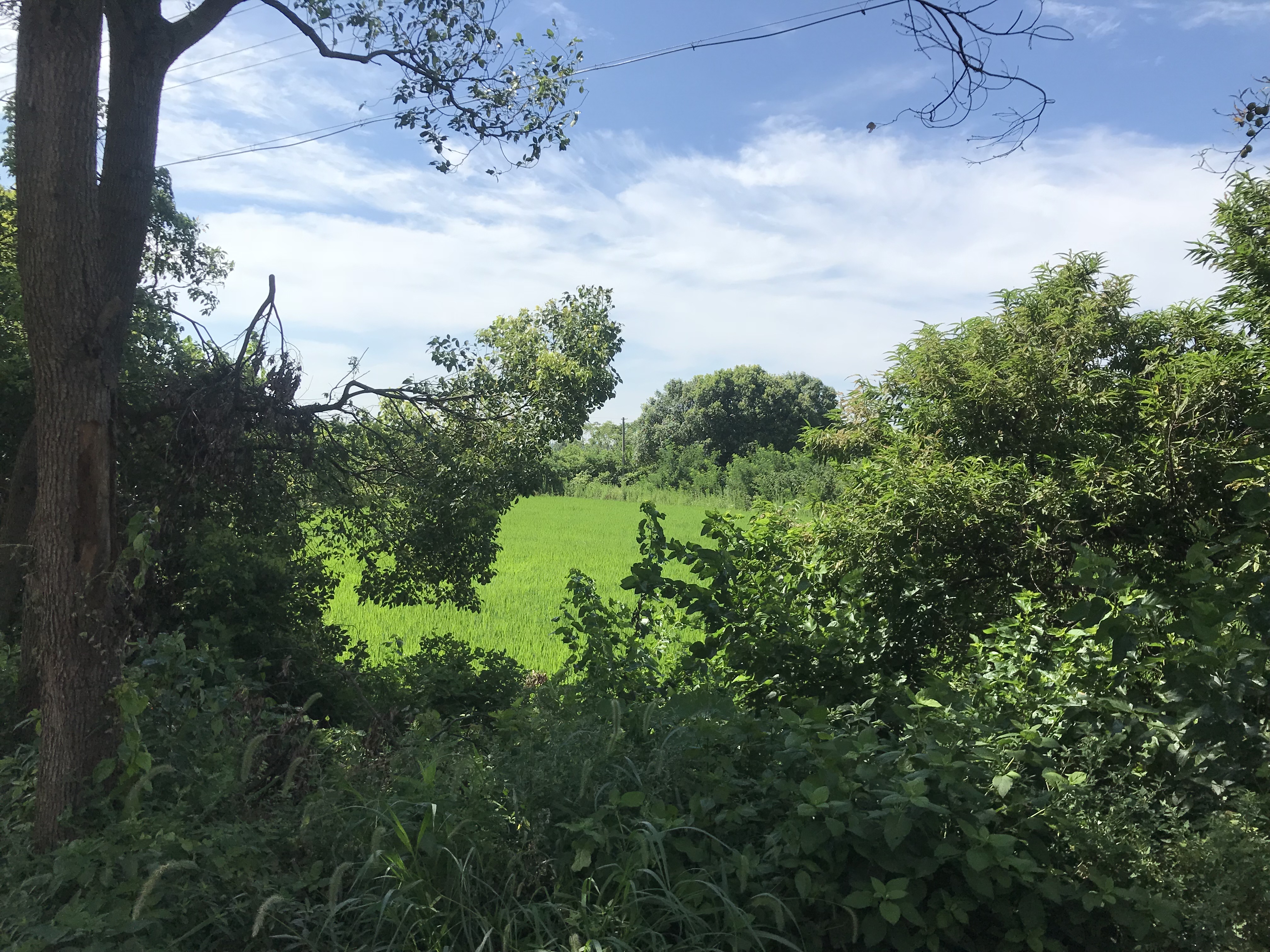 八岭山镇新场村闲置农房（jrs看球网直播吧_jrs手机直播_直播吧jrs民宿）-宣传图片