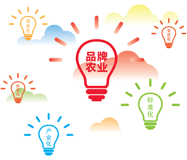 【今日农汇1204】构建品牌农业制度体系 推进农业品牌化发展