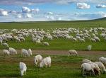 内蒙古林郭勒盟2018年积极推进乡村牧区旅游业快速发展
