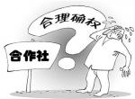 合作社主动确权体现改革期待 合作社主动确权体现改革期待