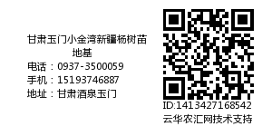 甘肃玉门小金湾新疆杨树苗地基