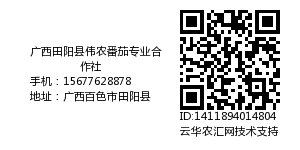 广西田阳县伟农番茄专业合作社