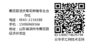 惠民县浩天菊花种植专业合作社