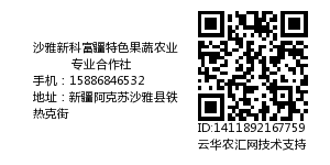 沙雅新科富疆特色果蔬农业专业合作社