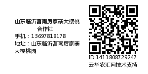 山东临沂莒南厉家寨大樱桃合作社