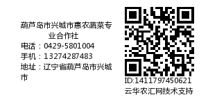 葫芦岛市兴城市惠农蔬菜专业合作社