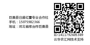 巨鹿县日盛红薯专业合作社