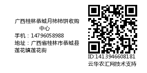 广西桂林恭城月柿柿饼收购中心