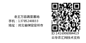 老王万亩蔬菜基地