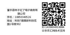 富平县柿子红了电子商务有限公司