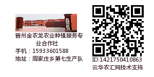 晋州金农龙农业种植服务专业合作社