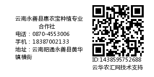 云南永善县惠农宝种植专业合作社