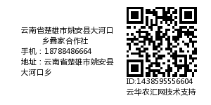 云南省楚雄市姚安县大河口乡彝家合作社