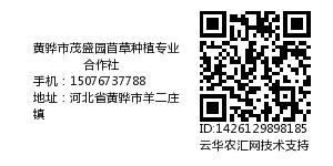 黄骅市茂盛园苜草种植专业合作社