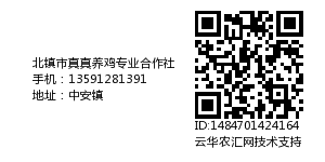 北镇市真真养鸡专业合作社