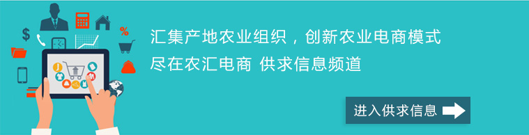 进入供求信息