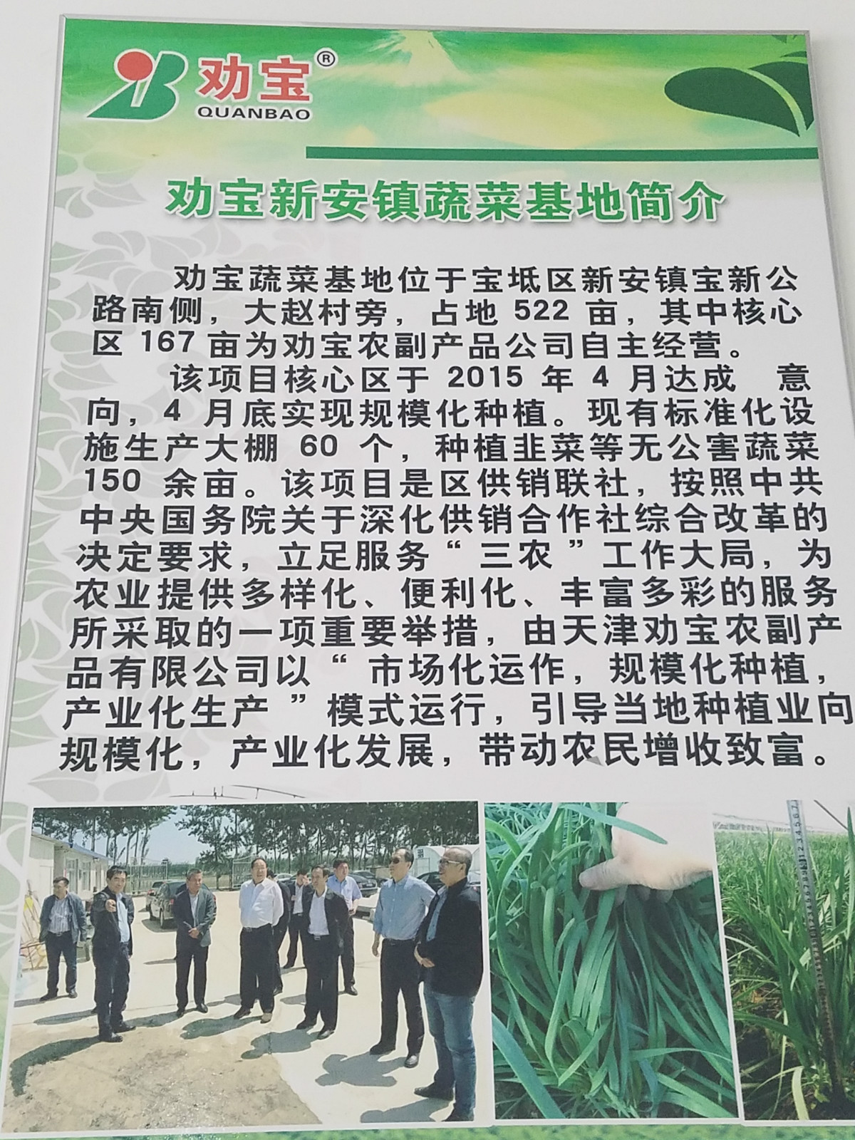 天津劝宝蔬菜种植专业合作社