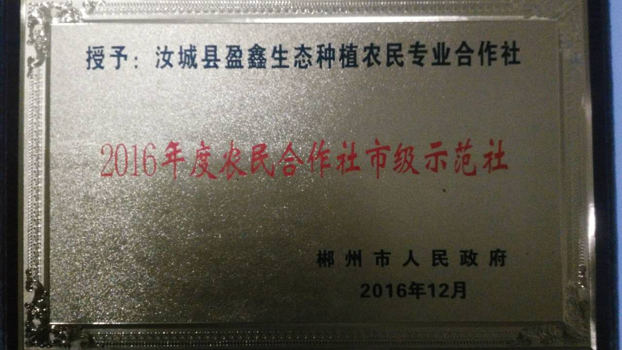 盈鑫生态种养合作社