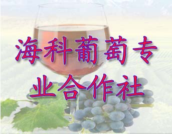 怀来县海科葡萄专业合作社