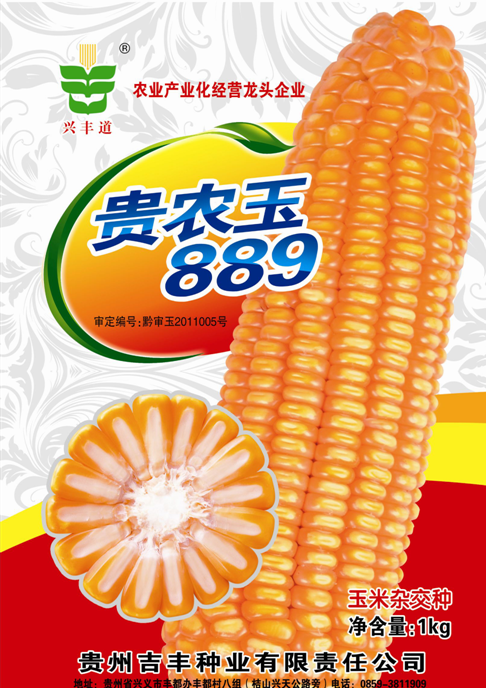 贵农玉889