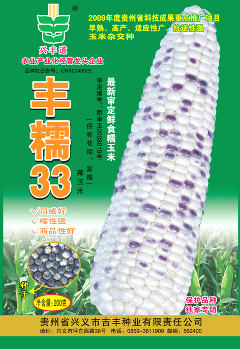 丰糯33