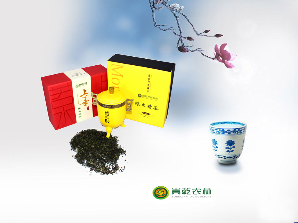 辣木与美国的西洋参，中国的灵芝合称为世界三宝 嵩乾辣木茶