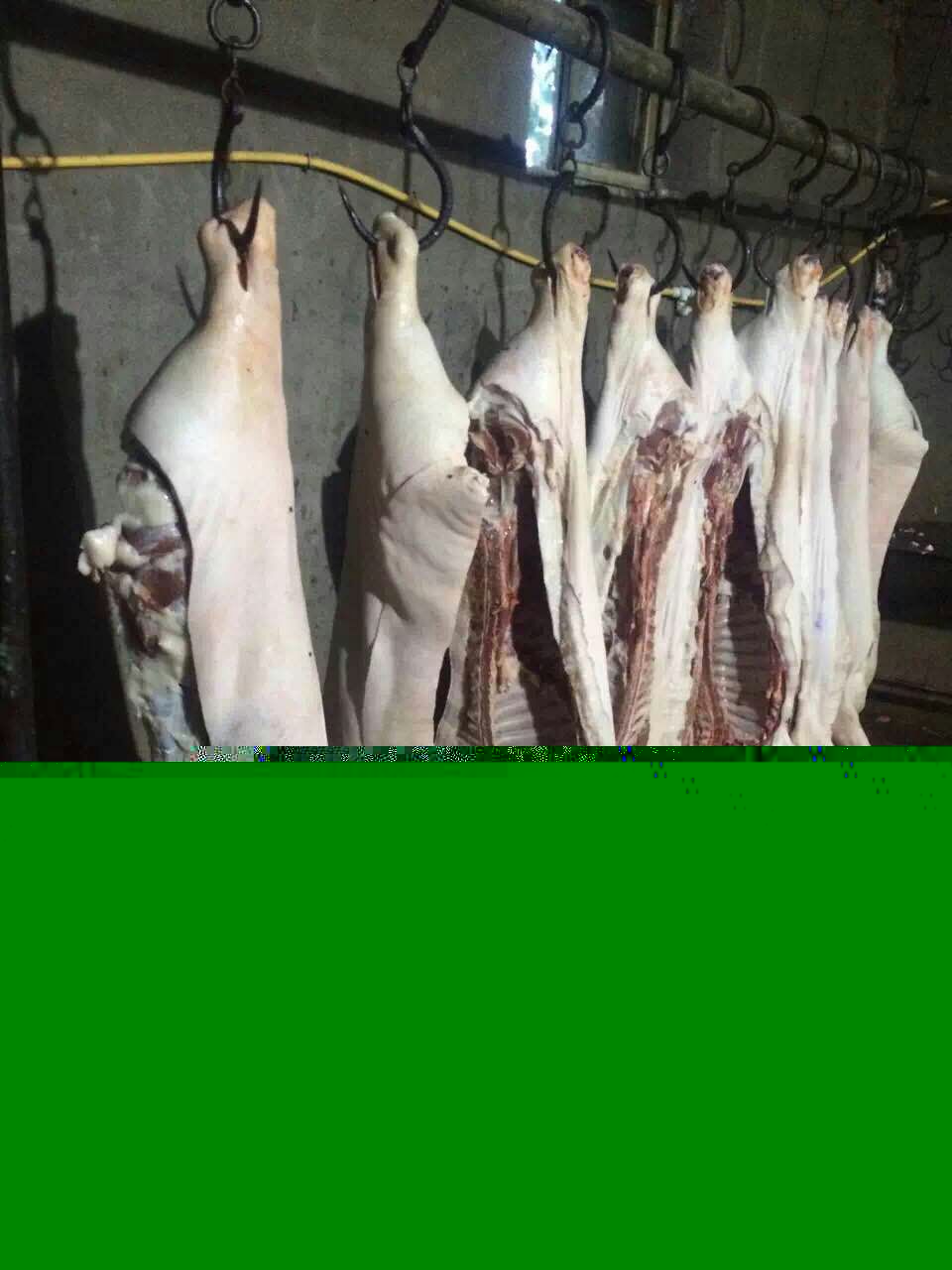 土猪肉