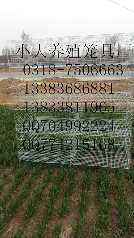 鸡鸽兔笼狐狸笼鹌鹑笼 鸡笼及配件 鸽子笼及配件 兔子笼及配件