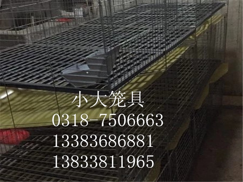 养殖用具鸡鸽兔笼狐狸笼鹌鹑笼宠物笼养殖笼运输笼鸡笼鸽笼兔子笼