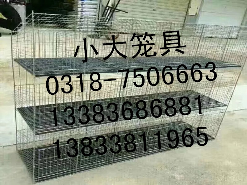 卖兔子笼鸽子笼狐狸笼鹌鹑笼鸡笼鸭子笼貉子笼运输笼宠物笼养殖笼