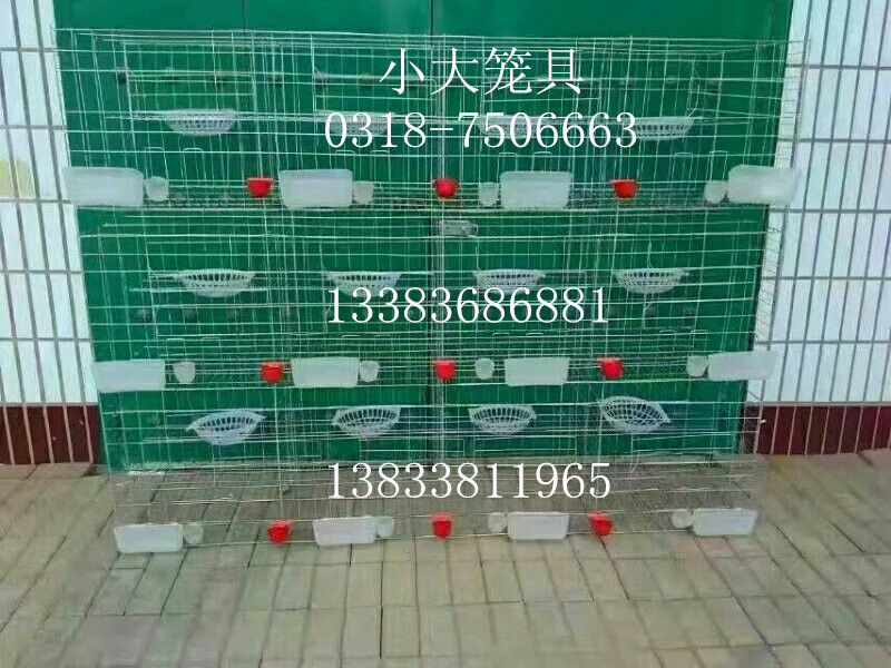 鸽子笼兔子笼鹧鸪...