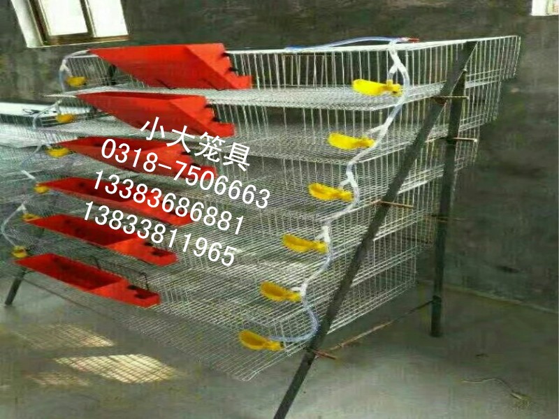 兔子笼鸽子笼鹌鹑...