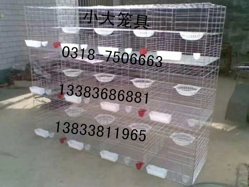 供兔子笼 鹌鹑笼 鸡笼 鸽子笼 鹧鸪笼 鸟笼 运输笼 宠物笼 饮水器 饲料盒 产仔箱 接粪板