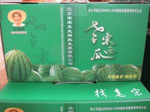 双粒西瓜（10斤）